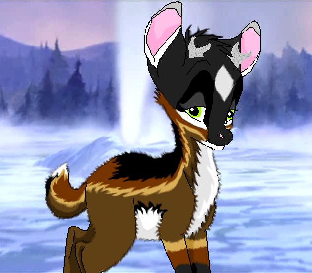 Fuzzy Kapik