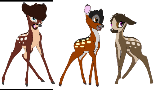 River, Raven and Gloria Fawns