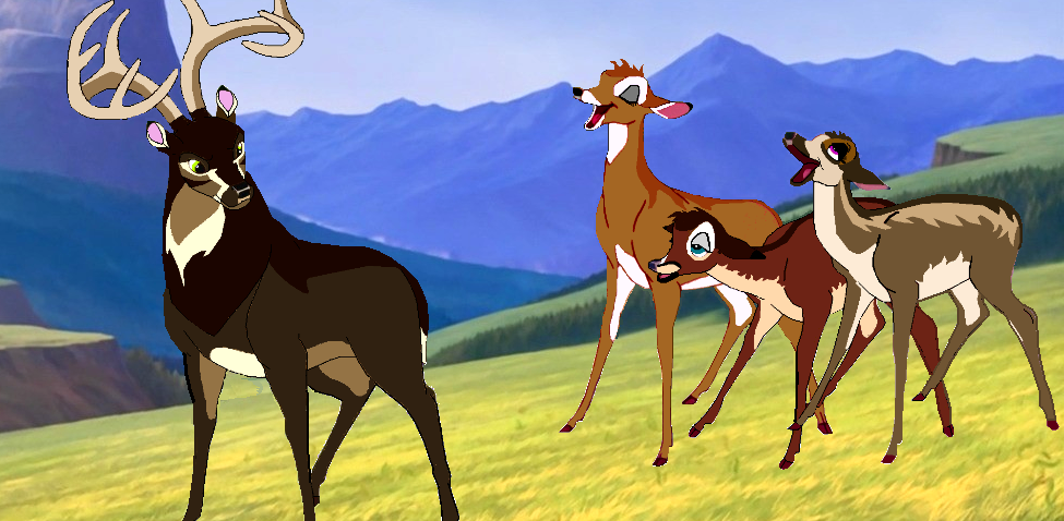 ~ Hello, Ladies ~