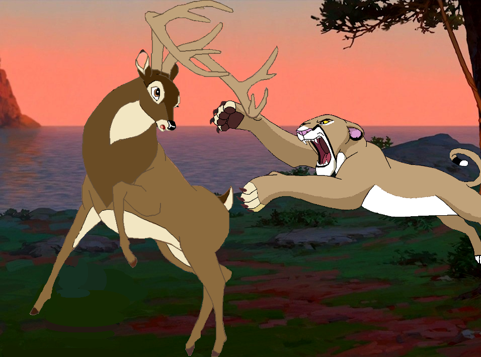 The Attack