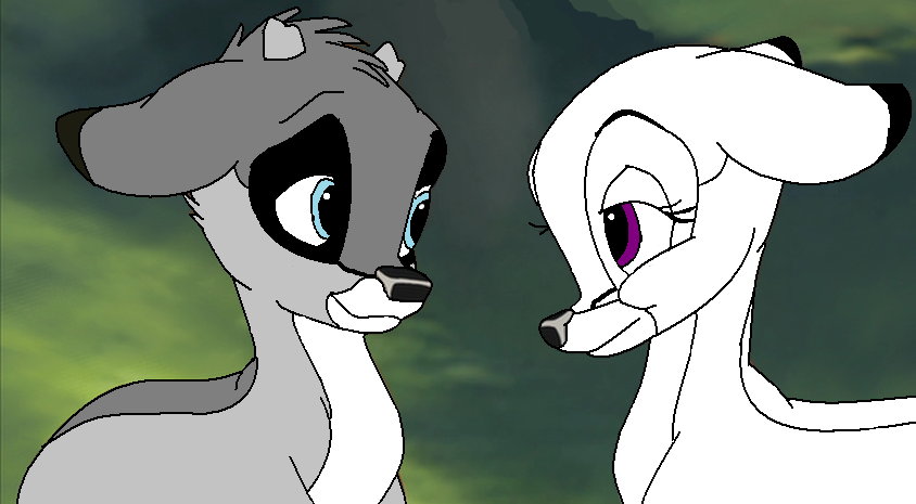 Raccoon and Violet