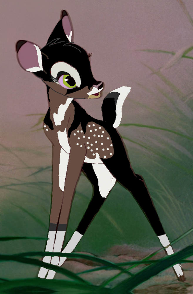Kaiser/Noir fawn