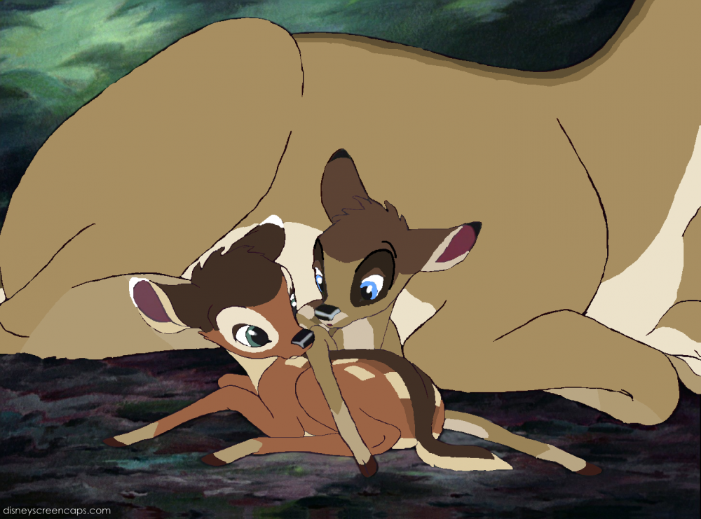 More possible Amber/Angelo fawns