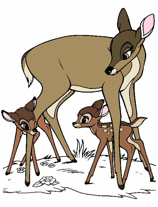 Possible hind and fawns for Angelo