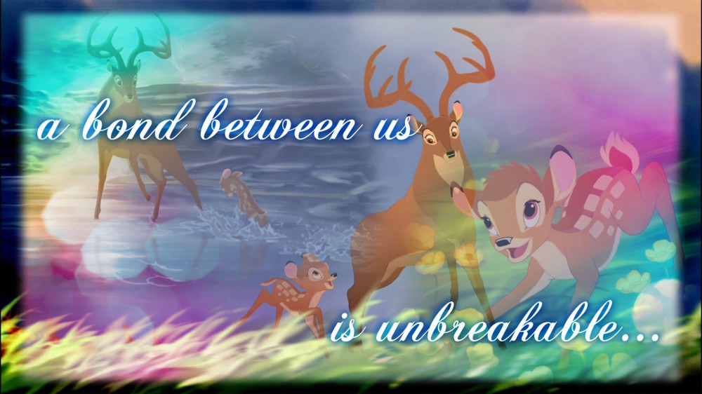 The Bond Between Us... : Free Desktop Background