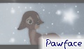 Pawface