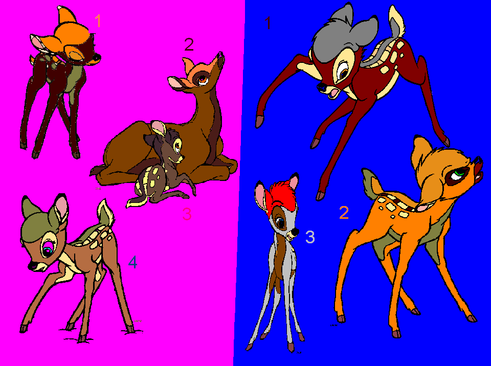 New adoptables!
