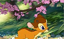 New prince of the forest get's his first antlers 