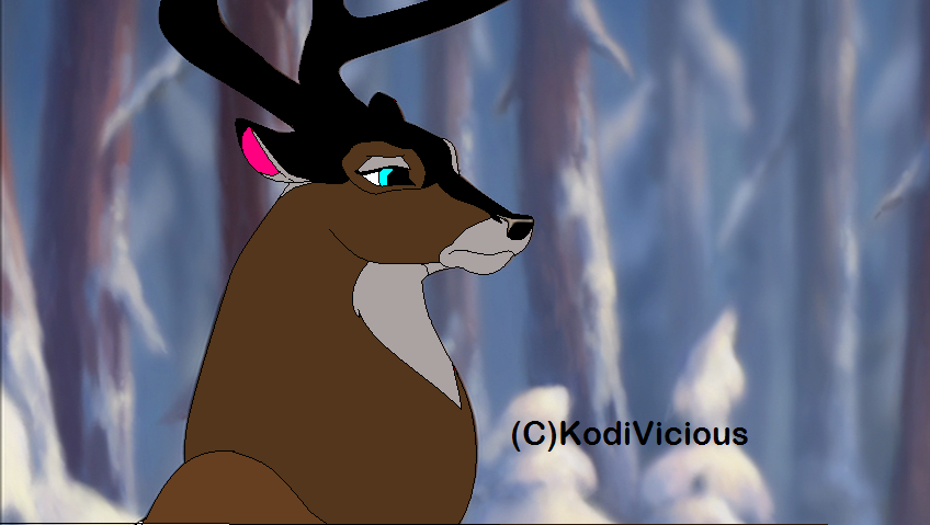 Roscoe adult.