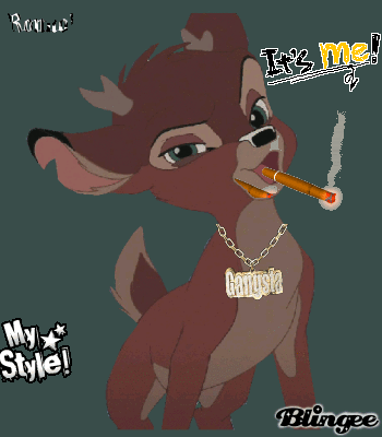 Cool dude!