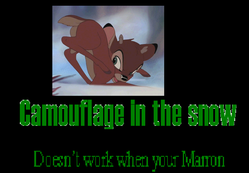 Camoflauge 