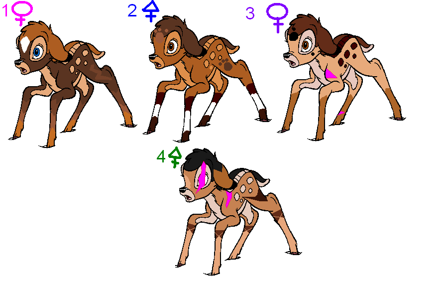 Adoptables