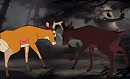 Nocere vs Ronno rematch