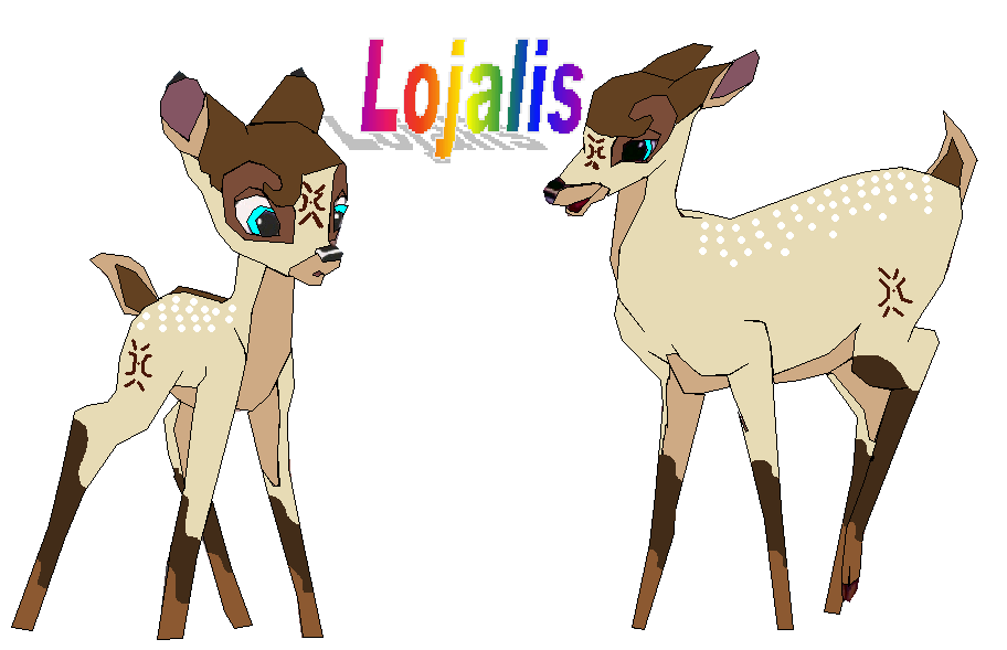 Lojalis
