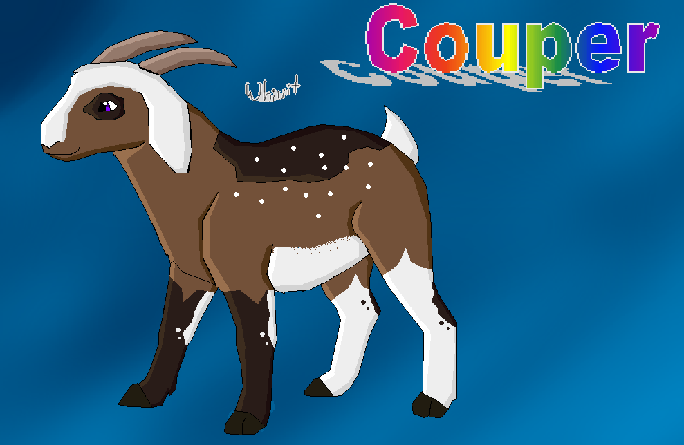 Couper the geep/sheeoat redesgin 