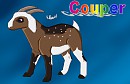 Couper the geep/sheeoat redesgin 