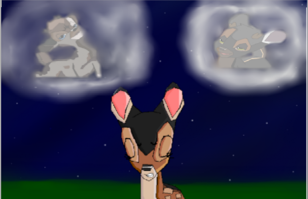 Surprise gift for FV: confused thoughts