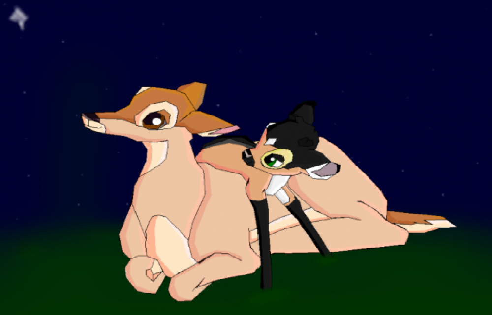 Luka and Rose, watching the night sky