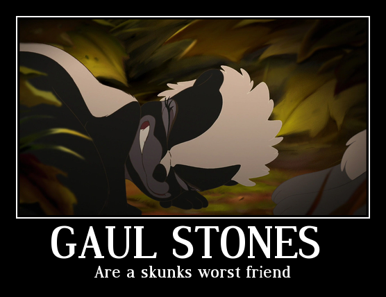 Gaul stones 