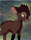Leon's first antlers 