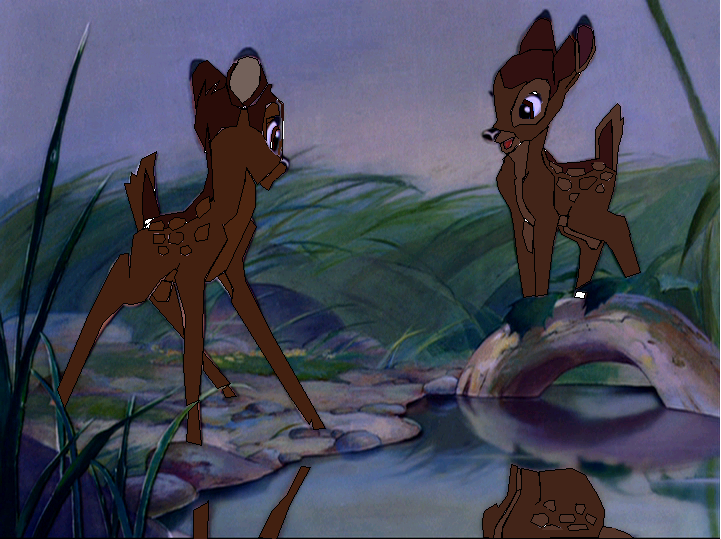 First meeting Fawn
