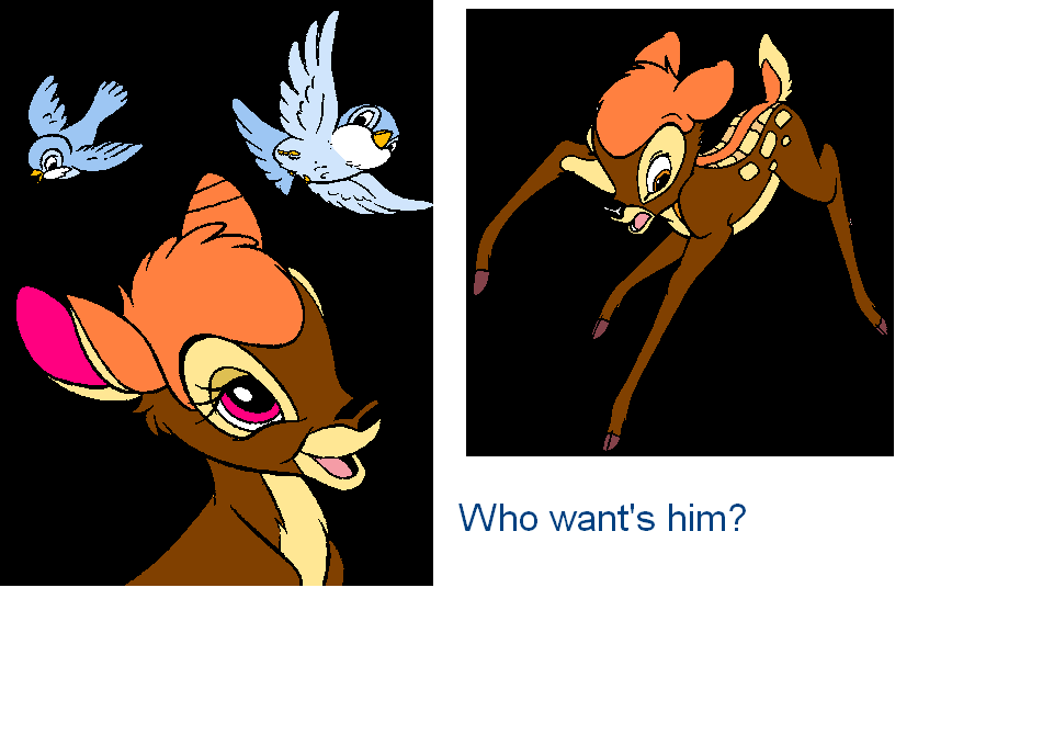 Adoptables