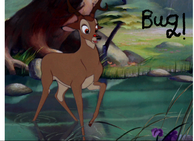 Bug on my nose!