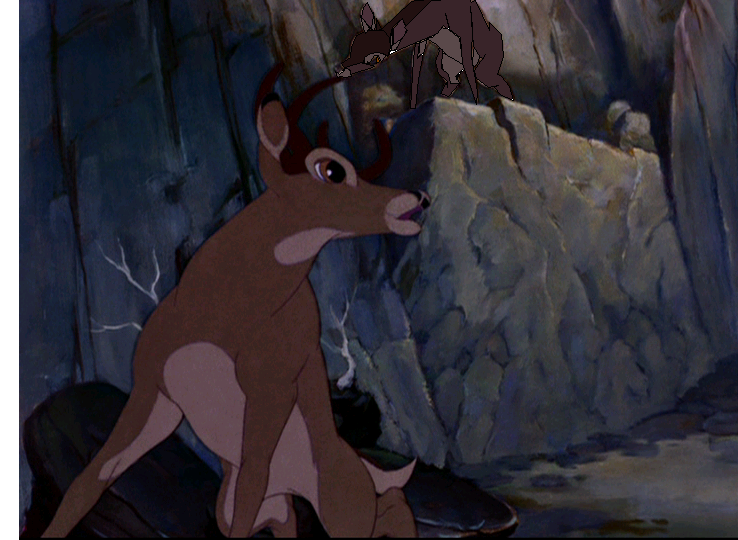 Hold on FAWN!