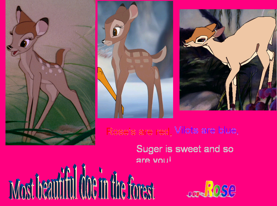 Most beautiful doe in the forest 