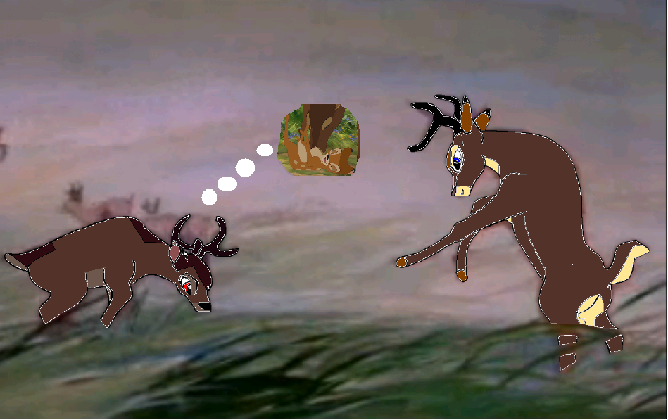 Friendly fight!