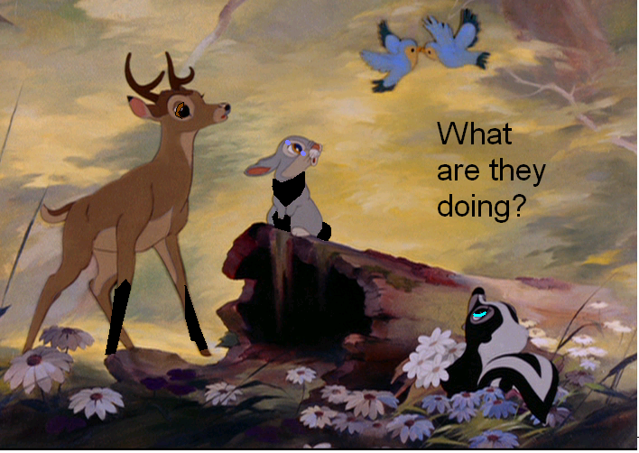 What are they doing?