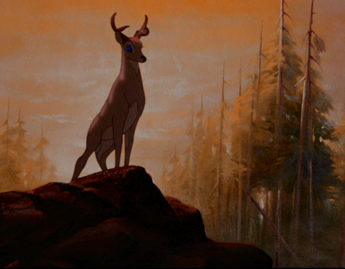 My kingdom