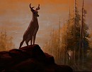 My kingdom