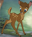 Mena's fawn