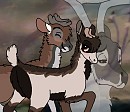 Choice// Please read description