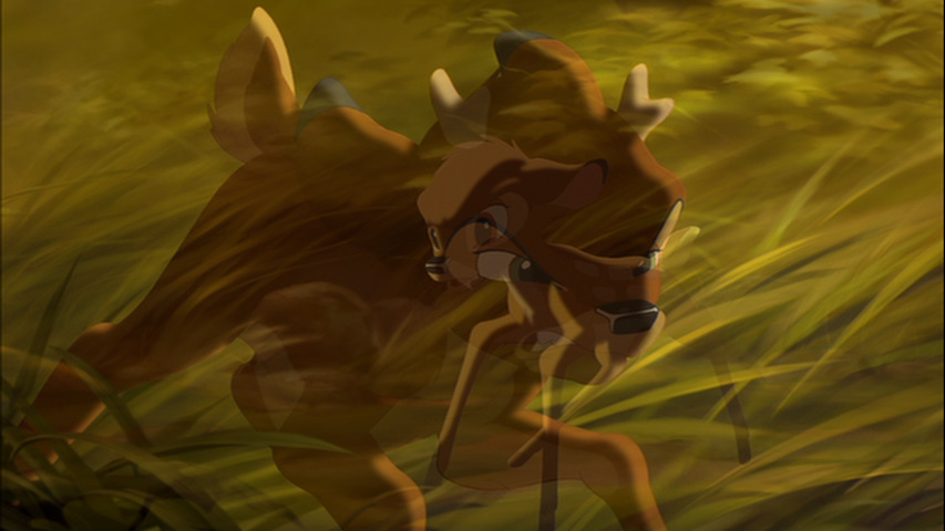 Bambi et Ronno
