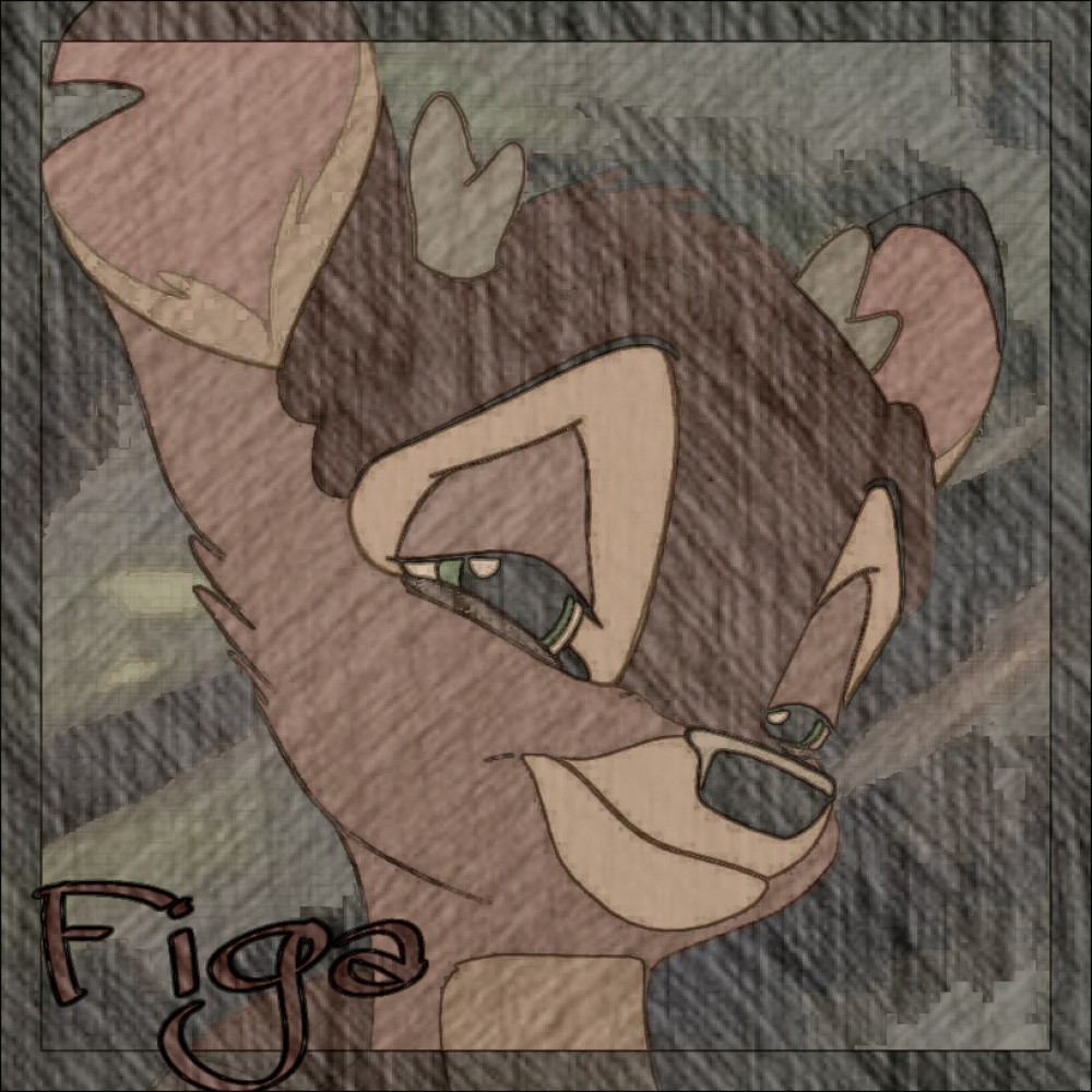 cadeau Figa