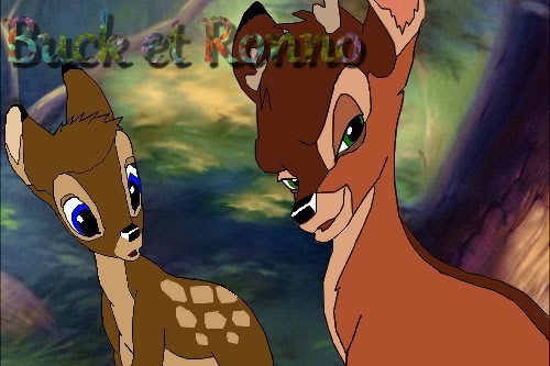 Buck et Ronno 