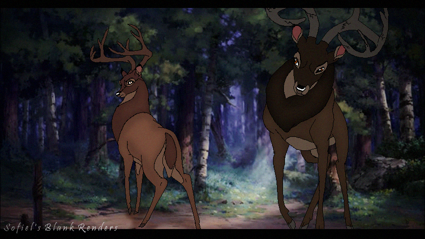 This Forest is Mine