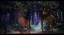This Forest is Mine