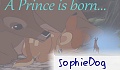 SophieDog