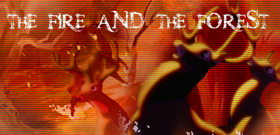 The fire and the forest  : WARNING !!!!!!