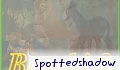 Spotted Shadow