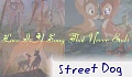 Street Dog