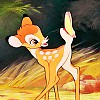 Bambi Icon II