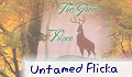 Untamed Flicka