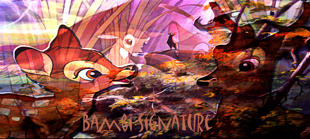 Signature Bambi