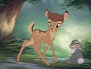 Evie And Thumper.