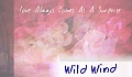 Wild Wind