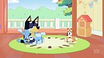 Bluey picture